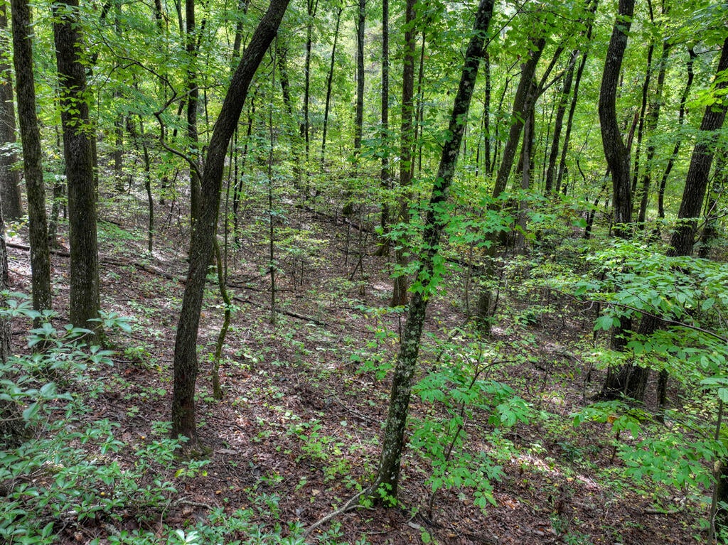 Lt. 125R Mountainside Parkway