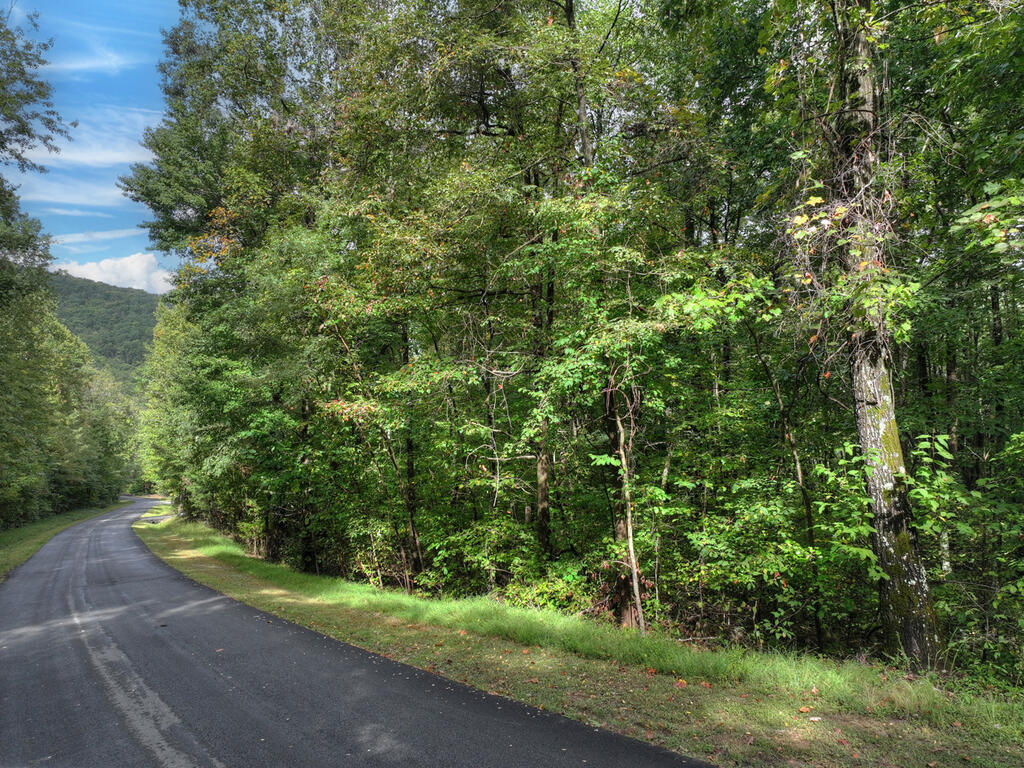 Lt. 125R Mountainside Parkway