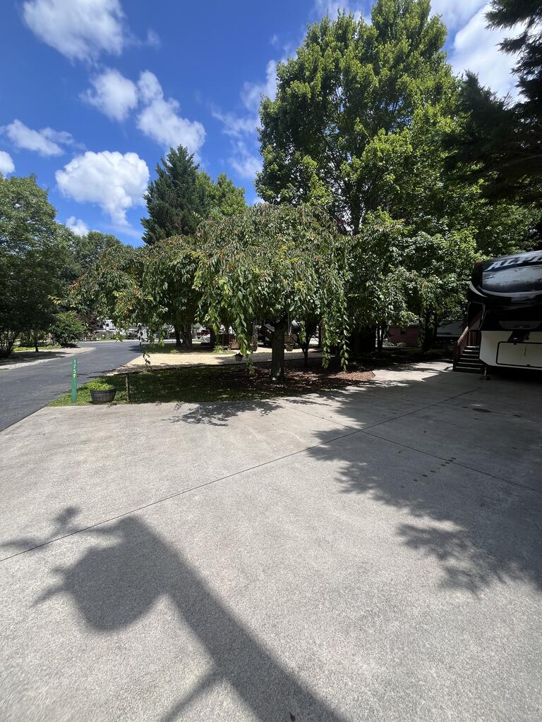 175 Choestoe Falls Circle