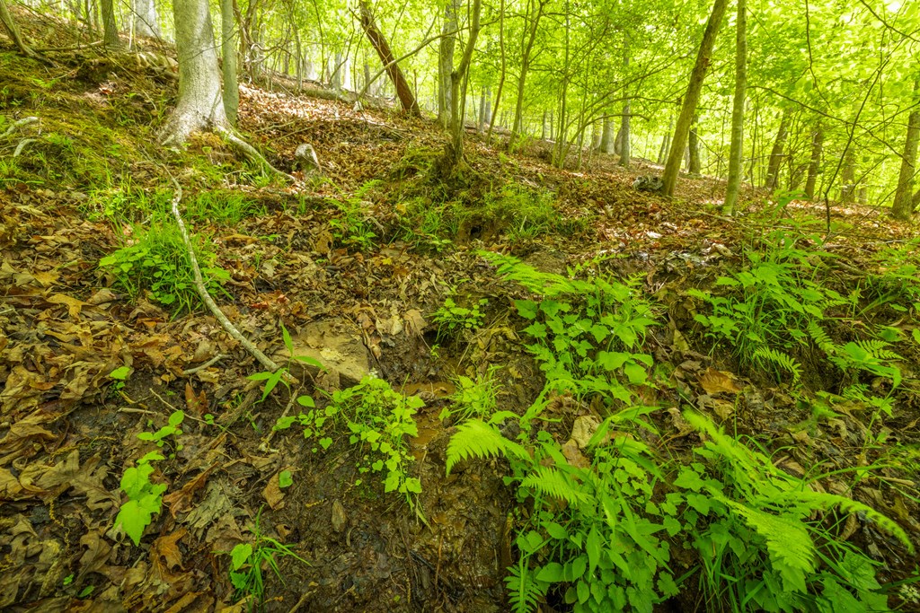 2.90Acre Galloway Road