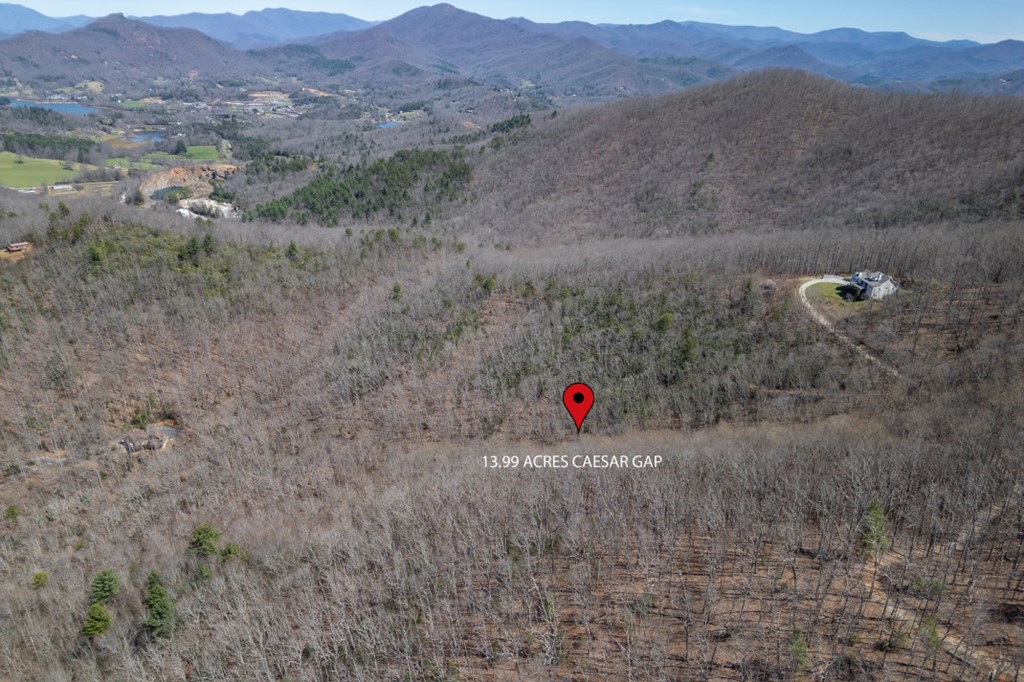 13.99 AC Caesar Gap Road