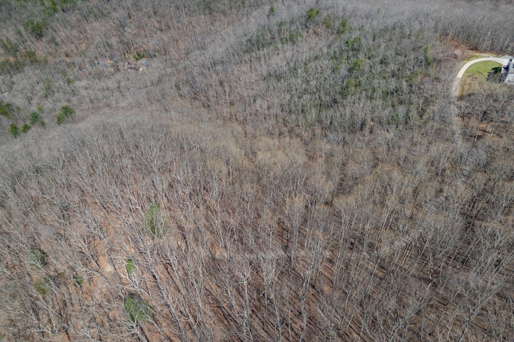 13.99 AC Caesar Gap Road