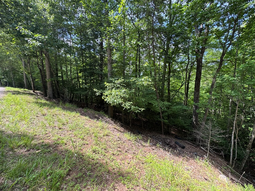 Lot 3 Honeysuckle Drive