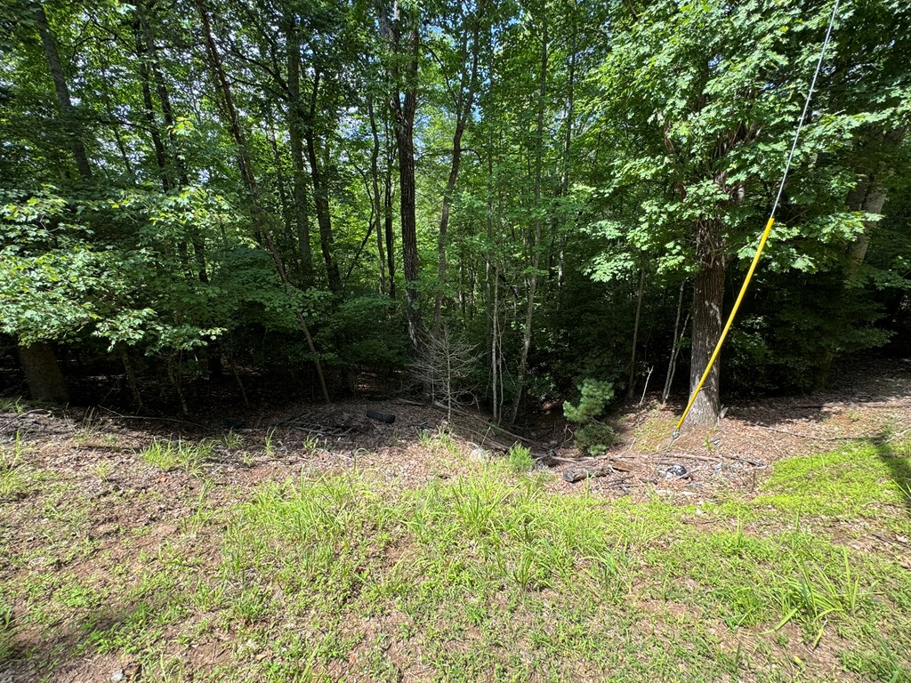 Lot 3 Honeysuckle Drive