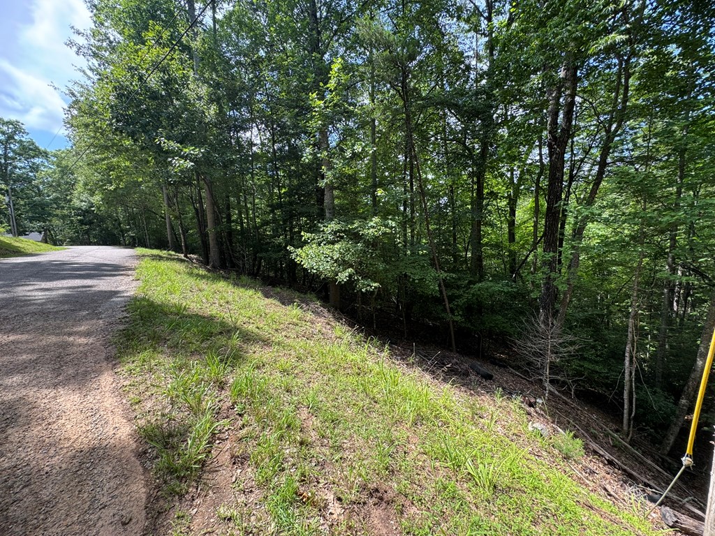 Lot 3 Honeysuckle Drive