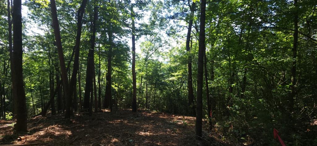 Lot 157 Roaring Forks Lane