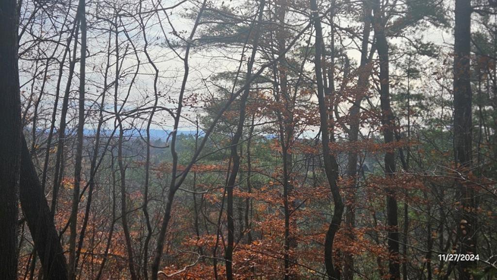 Lot 157 Roaring Forks Lane