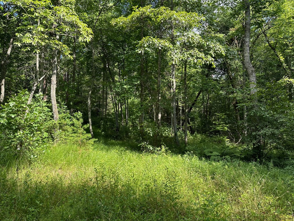 Lot 30 Fairview Drive