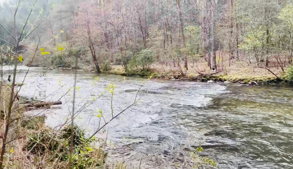 481 Hillsdale Dr, Ellijay, GA, 30540, USA, 4 Bedrooms Bedrooms, ,4 BathroomsBathrooms,Residential,Active,481 Hillsdale Dr,436401