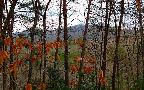 20 AC Hidaway Drive Ellijay GA 30536