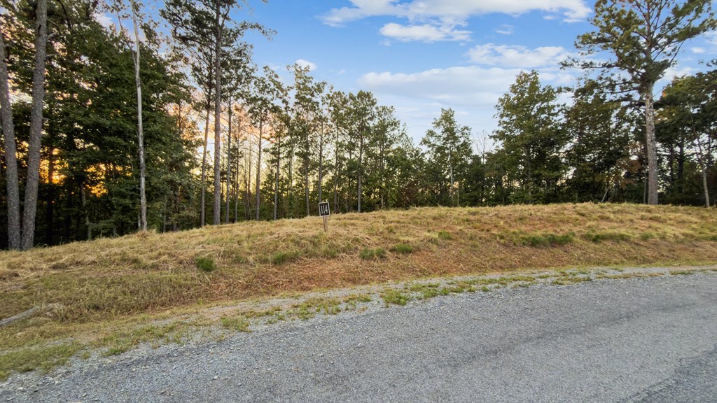 Lot 114 Blalock Mountain Road