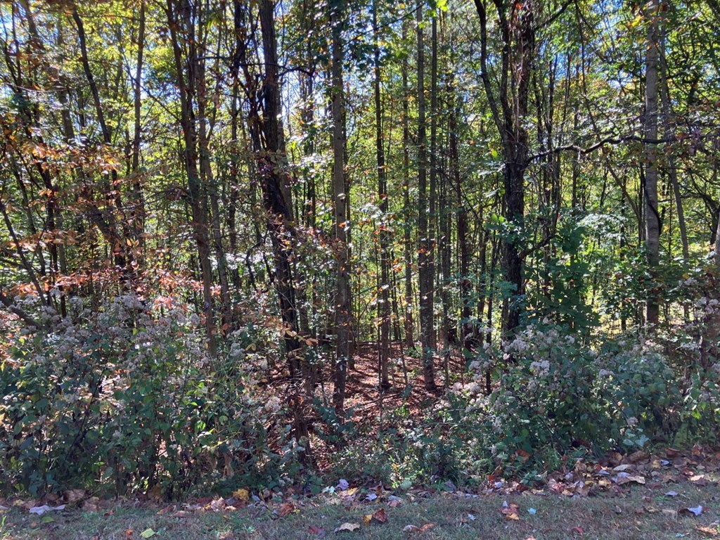 28/29 Sanctuary Drive