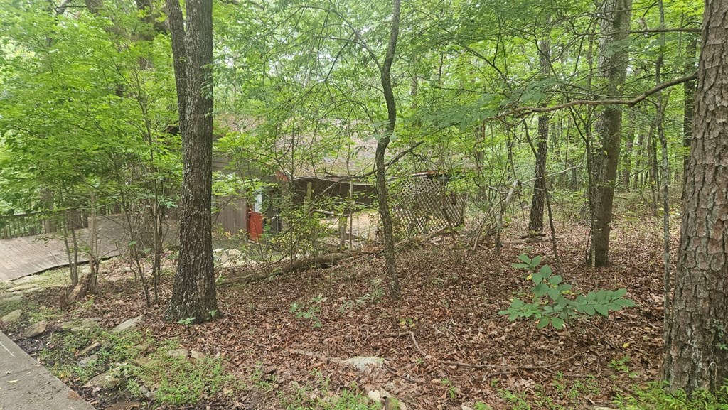 90 Quail Way