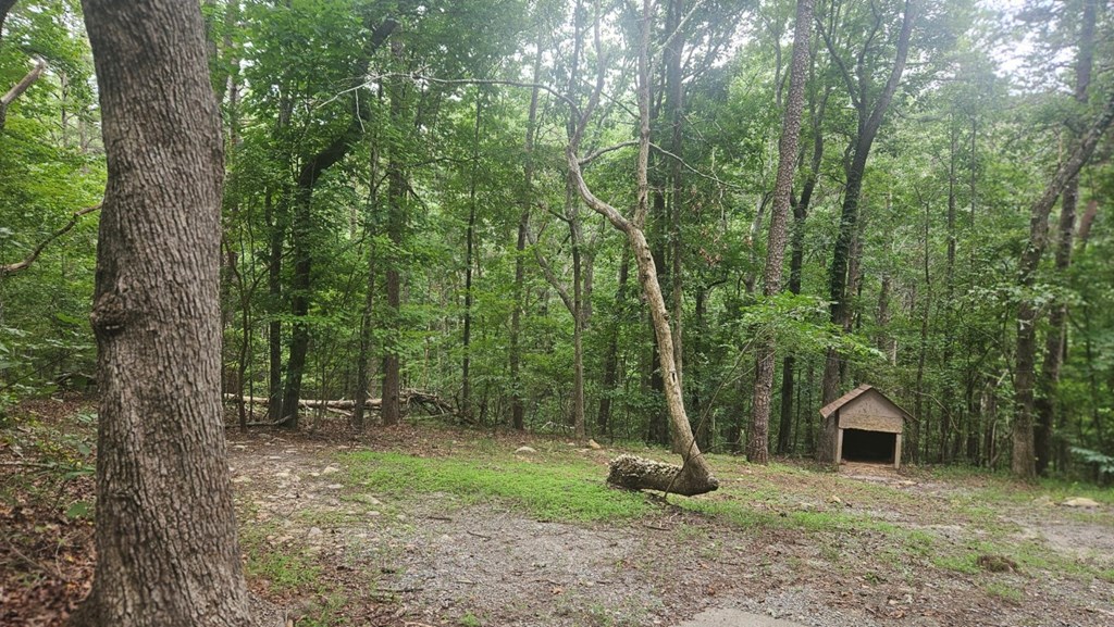 90 Quail Way