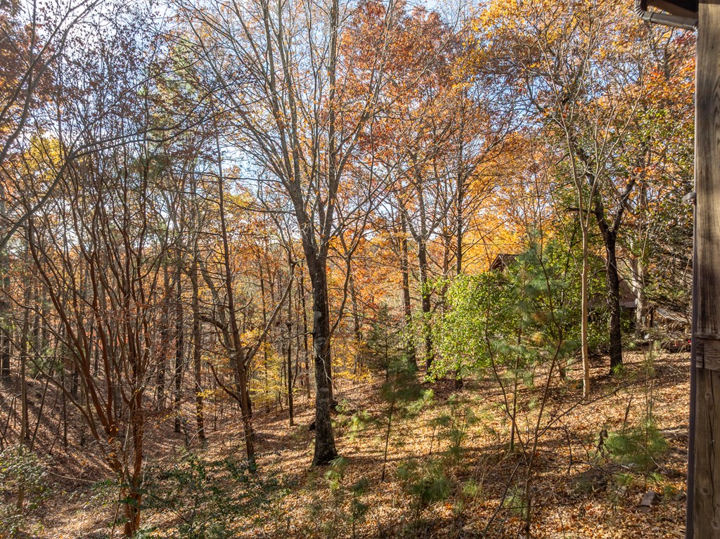 2515 Camp Branch Road