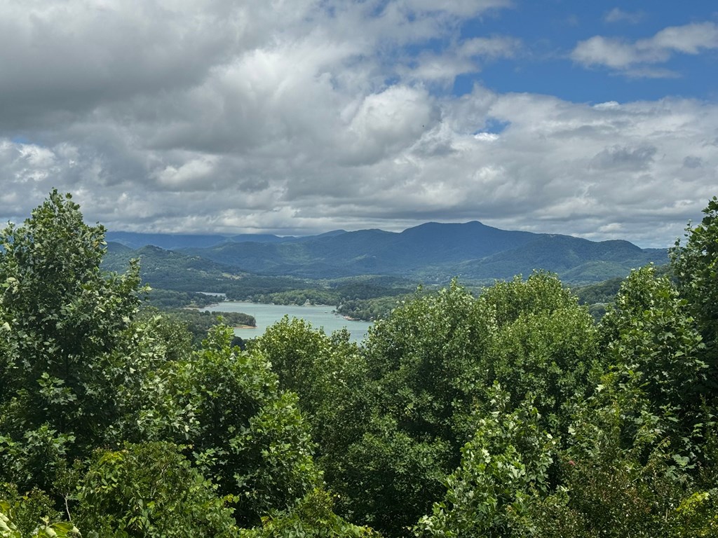 1498 Harris Ridge Road
