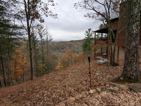 A home in Mineral Bluff