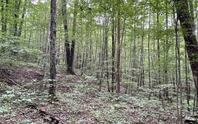 0 Trackrock Gap Road