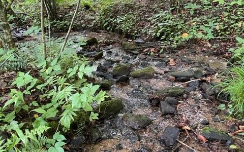 0 Trackrock Gap Road