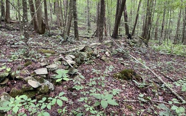 0 Trackrock Gap Road