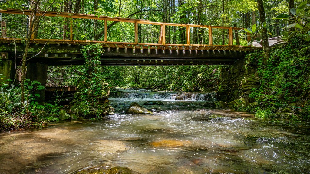 10323 Grassy Mountain Road