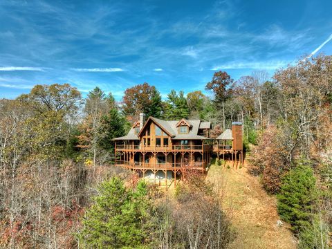 A home in Mineral Bluff