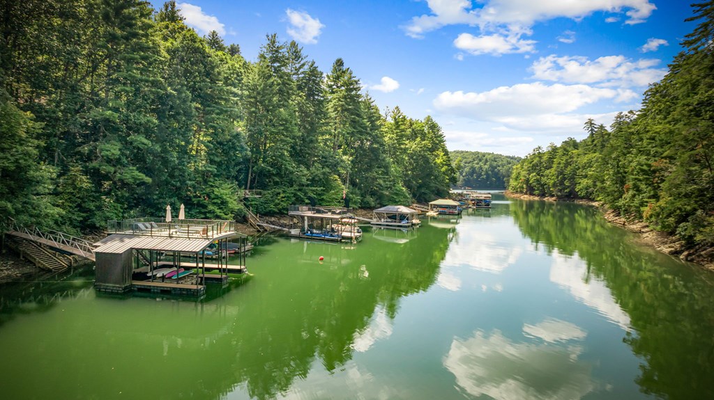 571 Misty Mountain Trail