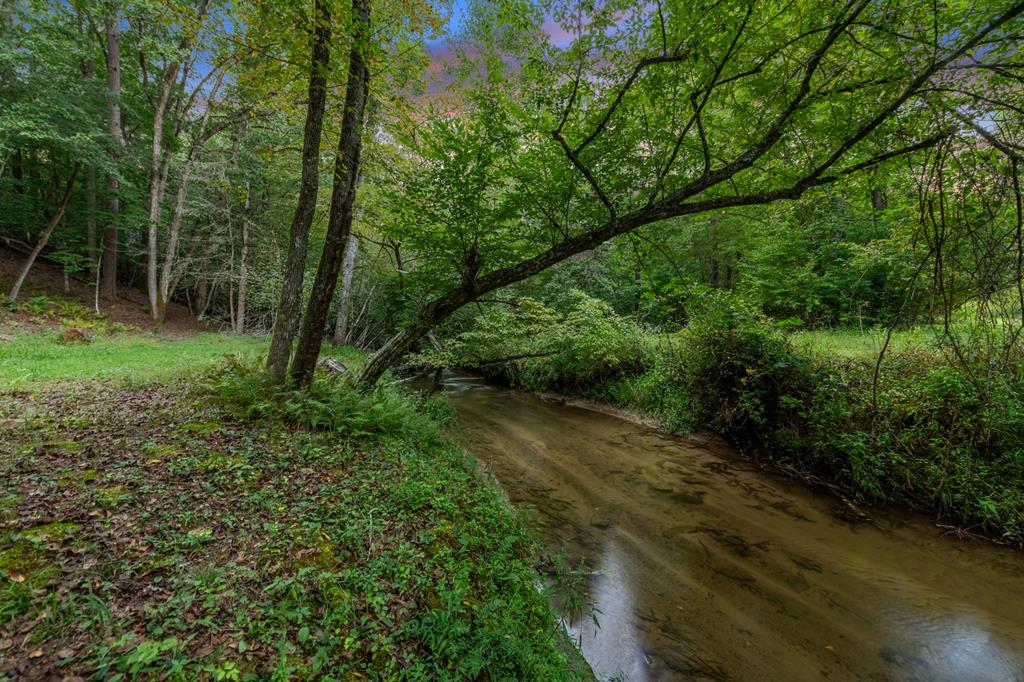 215 Twin Creeks