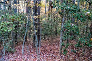 0 Smokey Hollow Drive