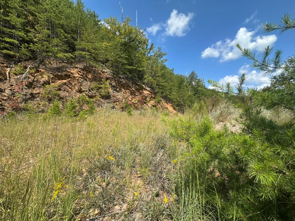 Lot 8/8a Bergan Moore Road