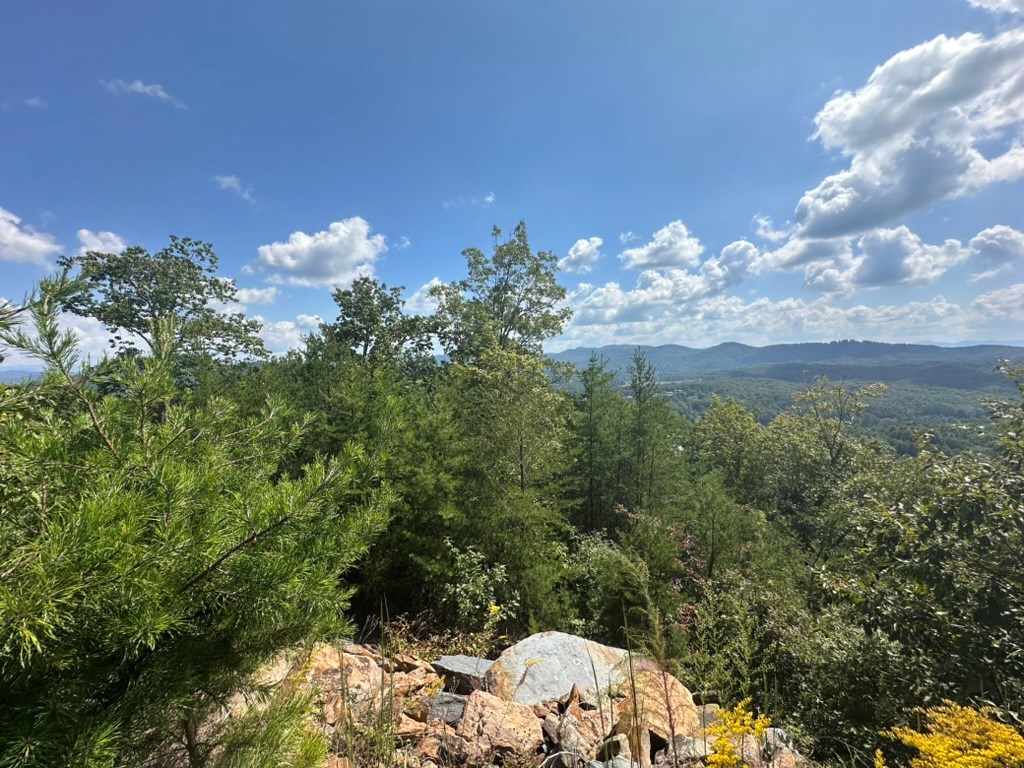 Lot 8/8a Bergan Moore Road