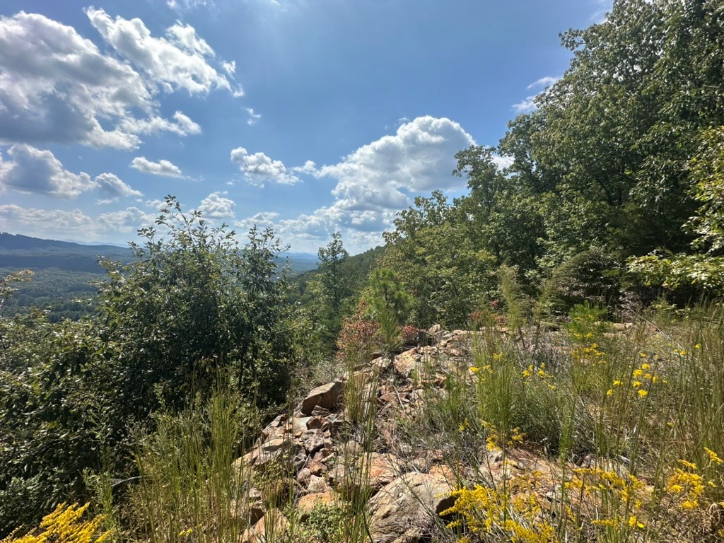 Lot 8/8a Bergan Moore Road