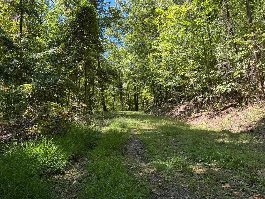 #1-3 Burnt Leaf Lane