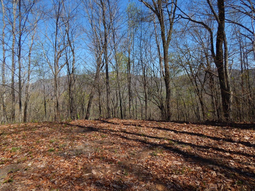 #1-3&2-3 Burnt Leaf Lane