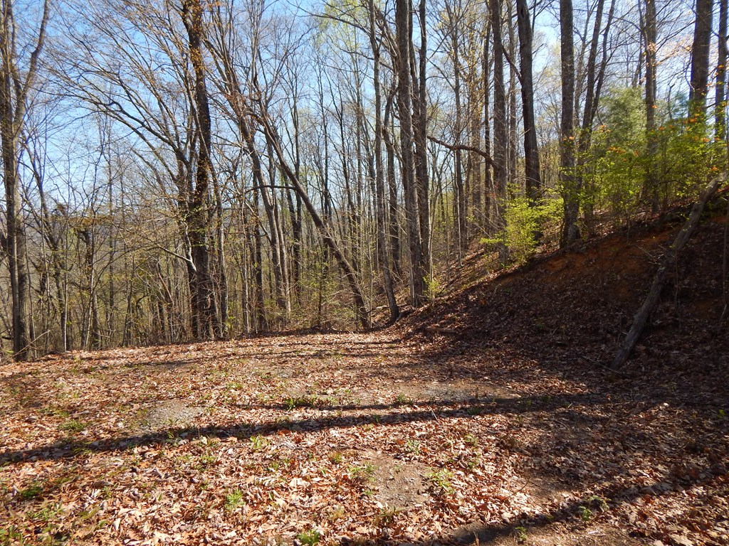 #1-3&2-3 Burnt Leaf Lane