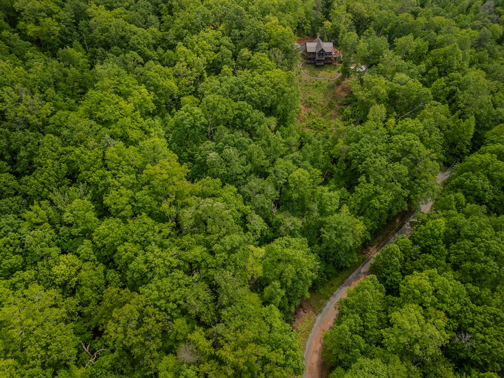 3.3 Acre Mangums Trail