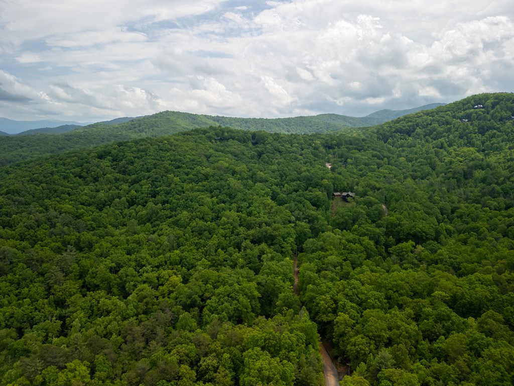 3.3 Acre Mangums Trail