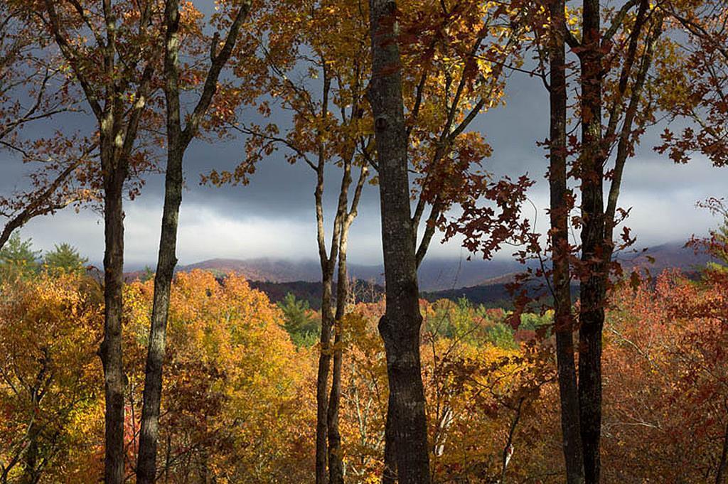 Lot 18 Dover Highlands Trail