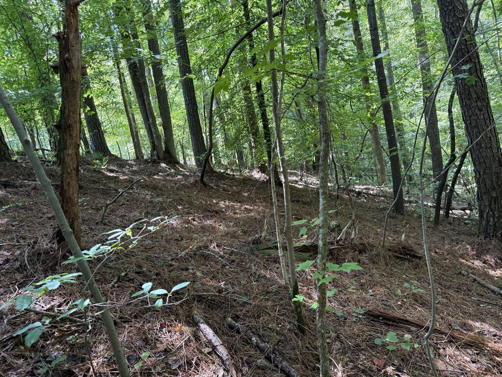 1707 Rebekah Ridge Road