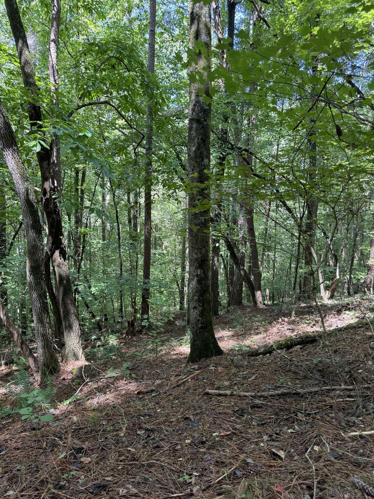 1707 Rebekah Ridge Road