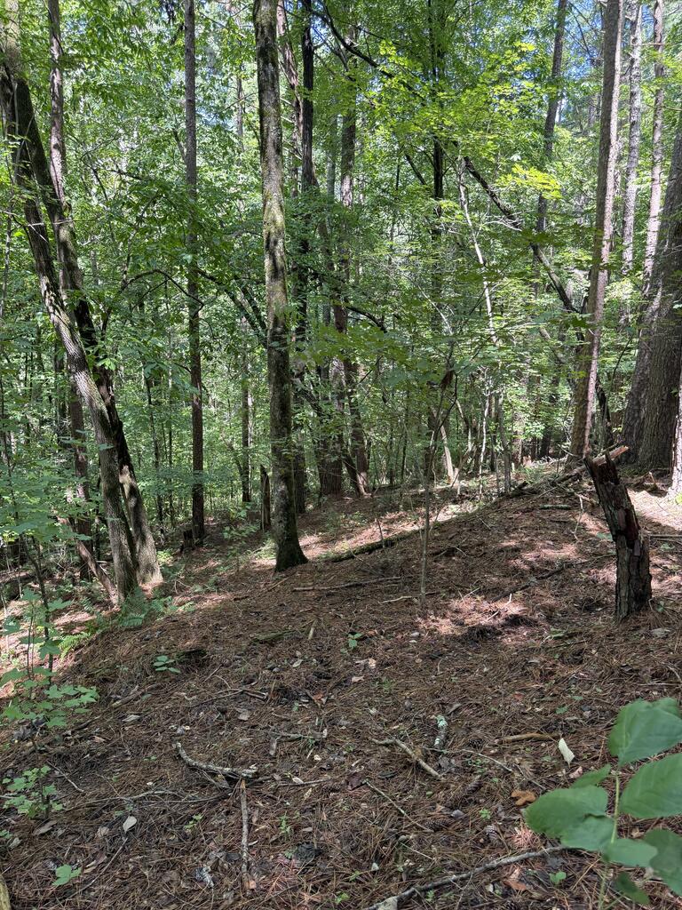 1707 Rebekah Ridge Road