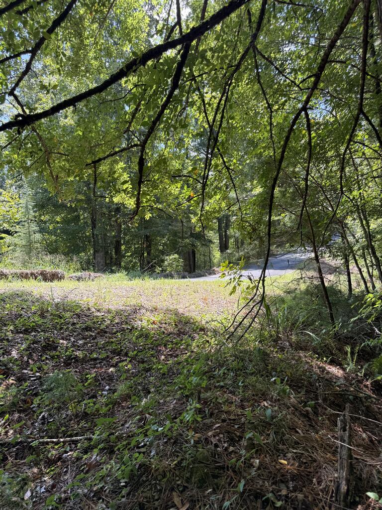 1707 Rebekah Ridge Road