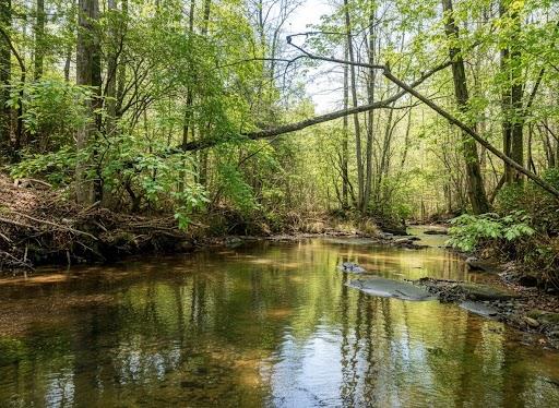 2468 Twisted Oak Road