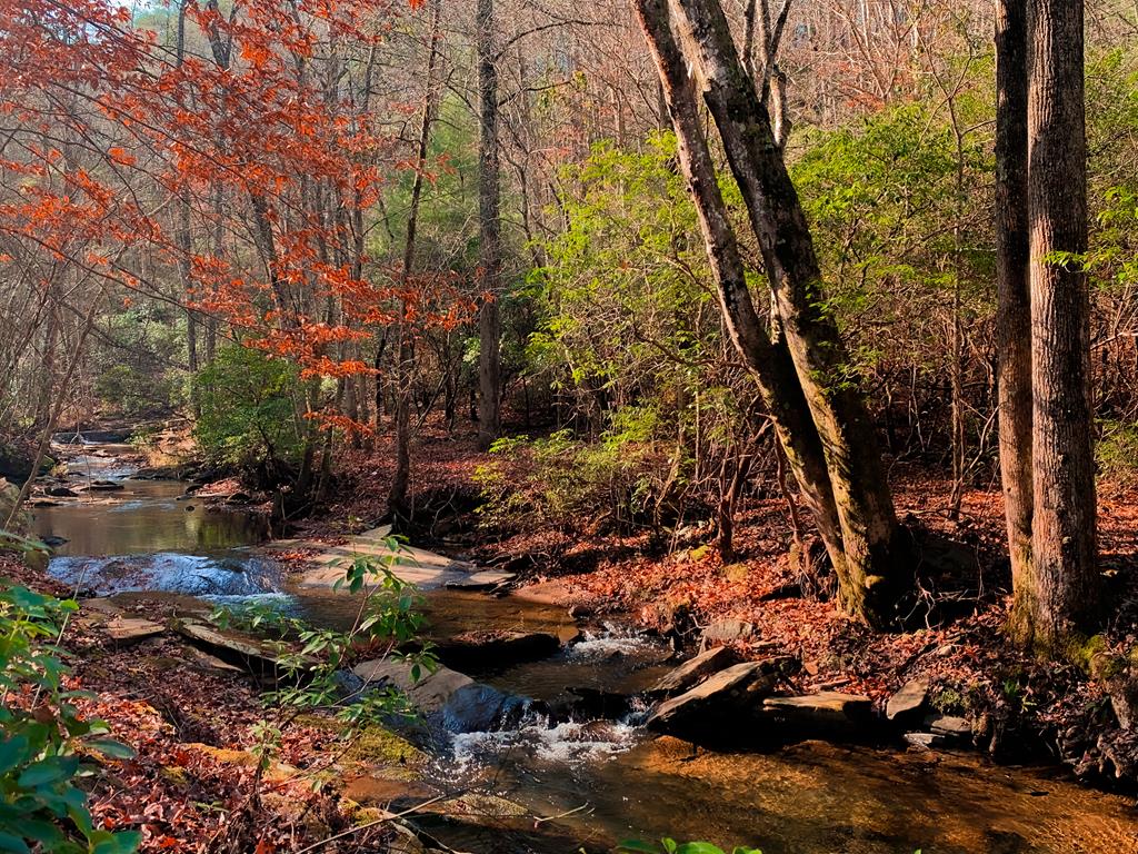 2468 Twisted Oak Road