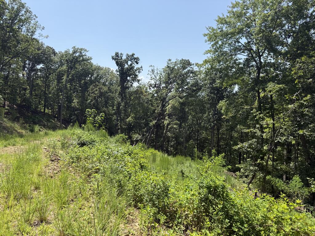 Lot 31 Grand Laurel