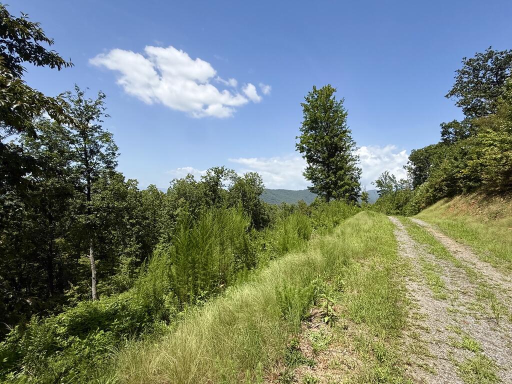 Lot 31 Grand Laurel