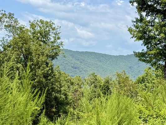 31 GRANT DR, BRASSTOWN, NC 28902 - Image cd53e2b6fa23ed58e286ae3a357c6ac8/989190355