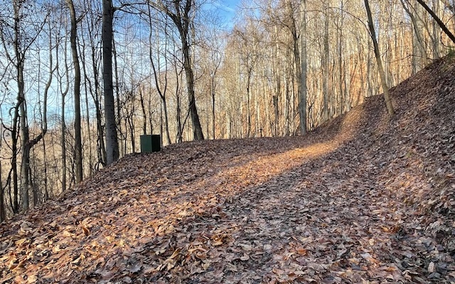 LT 73 Hidden Treasure Est