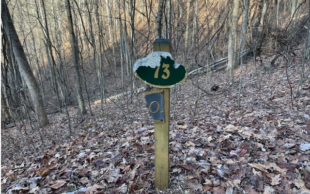 LT 73 Hidden Treasure Est