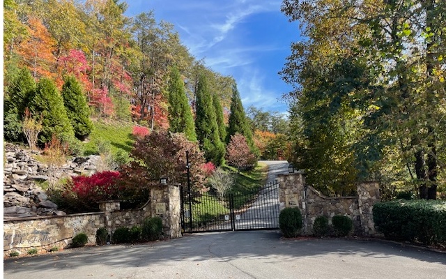 LT 73 Hidden Treasure Est